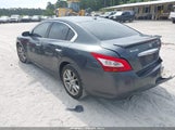 NISSAN MAXIMA 3.5 SV 1N4AA5AP5BC807986 снимка