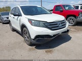 HONDA CR-V LX 5J6RM3H3XEL032854 снимка