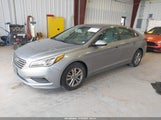 Hyundai Sonata 5NPE24AF0GH393750 снимка