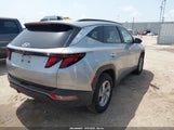 HYUNDAI TUCSON SEL 5NMJBCDE8RH344534 снимка