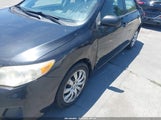 TOYOTA COROLLA LE JTDBU4EE2DJ122478 снимка