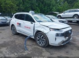 Hyundai Santa Fe Calligraphy 5NMS54AL4PH511666 снимка