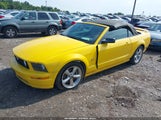 Ford Mustang Gt 1ZVFT85H955195294 снимка