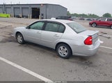 Chevrolet Malibu 1G1ZS52F65F294095 снимка