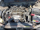 NISSAN ALTIMA GLE/GXE/SE/SE-L/XE 1N4DL01D9XC247672 photo