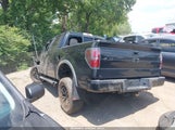 Ford F-150 Fx4 1FTFW1ET3DFB34215 снимка