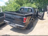 Ford F-150 Fx4 1FTFW1ET3DFB34215 снимка