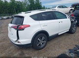 Toyota Rav4 Xle 2T3RFREV1GW423223 снимка