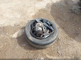 Mazda Mazda3 I Sv JM1BL1TG5D1720442 снимка