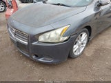 NISSAN MAXIMA S/SV 1n4aa5ap7bc839421 снимка