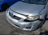 TOYOTA COROLLA LE 1NXBU4EE6AZ303749 снимка