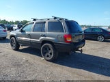 JEEP GRAND CHEROKEE SPORT 1J4GX38S32C238339 fotografie