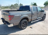 FORD F-150 XLT 1FTEW1E83AFD18282 снимка