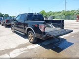 FORD F-150 FX4 1FTFW1EF1BFB00992 fotografie