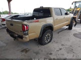 Toyota Tacoma Trd Off-Road 5TFCZ5AN6LX228090 снимка