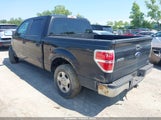 Ford F-150 Xlt 1FTFW1CFXDFD45067 снимка