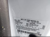 Miniaturka zdjęcia 9