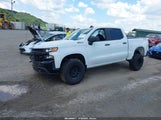 Chevrolet Silverado  Ltd 4Wd Short Bed Custom Trail Boss 1GCPYCEK2NZ173797 photo