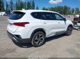 Hyundai Santa Fe Sel 5NMS33AD3LH244698 снимка