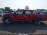 Ford F-150 Xlt 1FTEW1EP7KFA49650 снимка