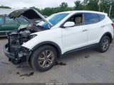 Hyundai Santa Fe Sport 2.4L 5XYZTDLB4GG305752 fotografie