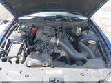 FORD MUSTANG V6 PREMIUM 1ZVBP8AM6C5248214 снимка