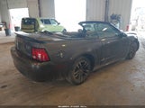 Ford Mustang 1FAFP44413F347452 снимка
