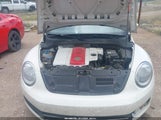 Volkswagen Beetle 2.5L 3VWJP7AT6DM685316 снимка