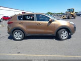 Kia Sportage Lx KNDPMCAC6H7069565 снимка