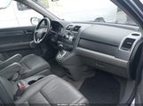 HONDA CR-V EX-L JHLRE48737C053269 photo