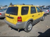 Ford Escape Xlt 1FMCU04181KB26905 снимка