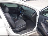 HYUNDAI SONATA SE 5NPEC4AC4BH027561 fotografie