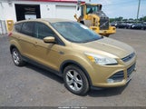Ford Escape Se 1FMCU0GX0EUB95954 снимка
