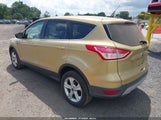 Ford Escape Se 1FMCU0GX0EUB95954 снимка