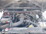 Jeep Wrangler Unlimited Sport 1J4HA3H17BL589462 photo