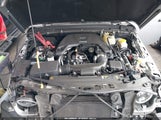Jeep Wrangler Unlimited Sport S 4X4 1C4HJXDG8MW519073 photo