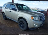 FORD ESCAPE XLT 1FMCU0D78BKA62239 снимка