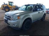 FORD ESCAPE XLT 1FMCU0D78BKA62239 fotografie