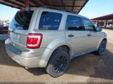 FORD ESCAPE XLT 1FMCU0D78BKA62239 fotografie