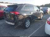 Toyota Rav4 Xle JTMW1RFV5KD508166 снимка