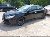 NISSAN ALTIMA 2.5/2.5 S/2.5 SL/2.5 SR/2.5 SV 1N4AL3AP2GN335854 снимка