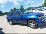Chevrolet Trailblazer Ls 1GNDT13S752184934 снимка