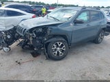 Jeep Cherokee Trailhawk 1C4PJMBS2EW189529 снимка