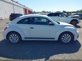 Volkswagen Beetle 1.8T Fleet Edition 3VWF17AT7GM607395 fotografie