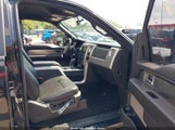 Ford F-150 Fx4 1FTFW1EF1EKG37941 снимка