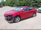 TOYOTA CAMRY SE 4T1BF1FK2CU565655 fotografie