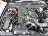 Ford Mustang V6 1ZVBP8AMXE5283969 снимка
