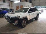 Jeep Cherokee Trailhawk 4X4 1C4PJMBX1MD207525 снимка