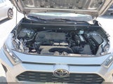 TOYOTA RAV4 LE 2T3K1RFV1KC019086 снимка