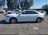 TOYOTA CAMRY SE V6 4T1BK46K67U534699 fotografie